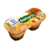 8919 Sabores Naturis Flan Caramelo 200g